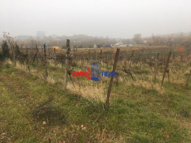 Reality Neobrábaný vinohrad Rača, lokalita Longtále, 3656 m2, aj ako investícia