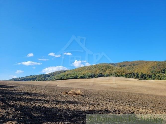 Reality Väčší pozemok v prírodnom prostredí na okraji obce Zbora - Dohňany
